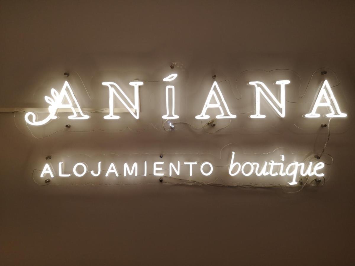Aniana Alojamiento Boutique ログローニョ エクステリア 写真